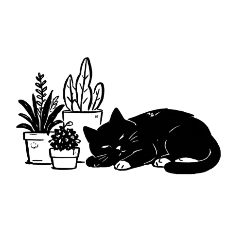 Cozy sleeping cat with plants